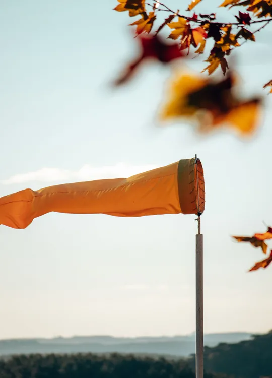 Manche à air orange gonflée par le vent sous des feuilles d’automne